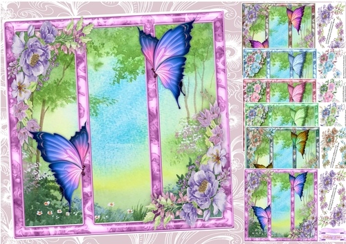 6, Butterflys in the Frame 