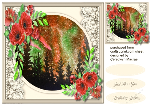 Red Anemones and Night Sky