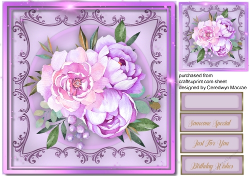 Gorgeous Lilac Peony Roses 