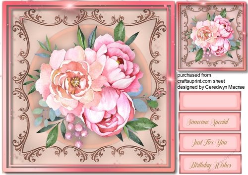 Gorgeous Pink Peony Roses 