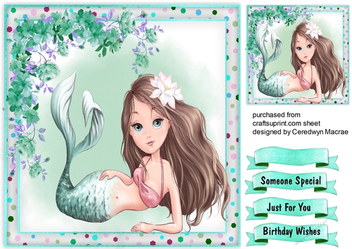 Gorgeous Aqua Mermaid 