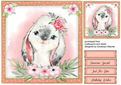 Rabbit in the Flowers