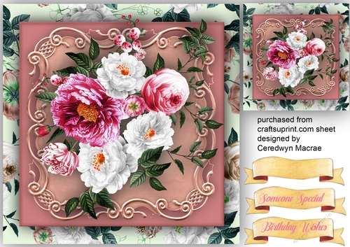 Pink and White Roses