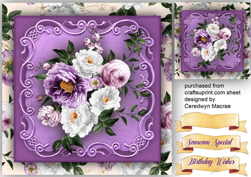 Purple and White Roses
