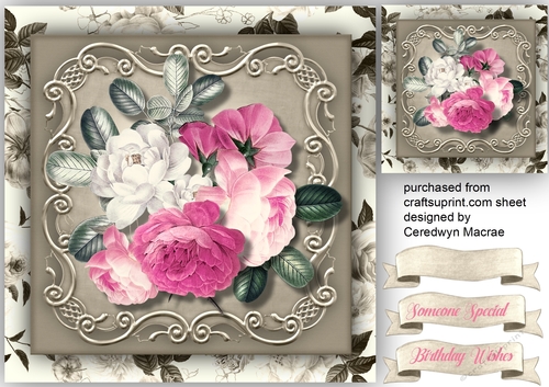 Rose and White Roses