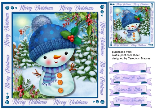 Cute Snowbabe in Wolly Hat