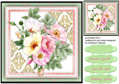 Stunning Brier Roses and Corner lace 