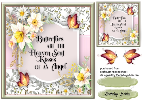 Beautiful Daffodils  and Butterflys