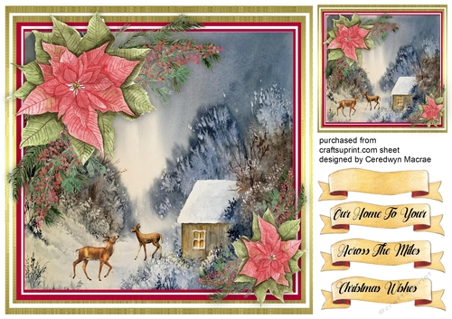 Christmas Scene with Poinsettias