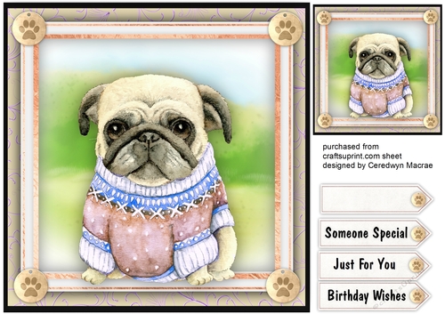 Pugs New Beige  Sweater