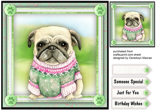 Pugs New Green  Sweater