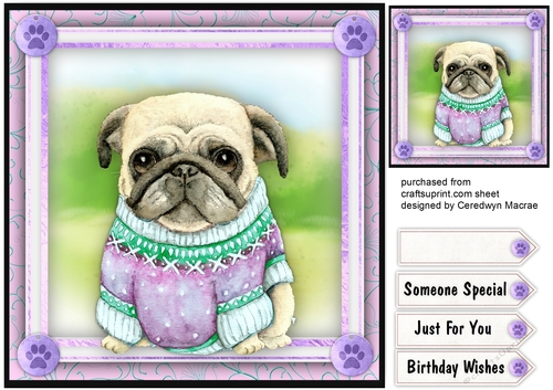 Pugs New Lilac  Sweater