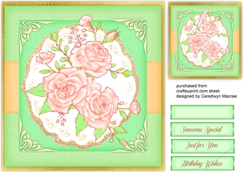 Beautiful Pink Roses and Corners