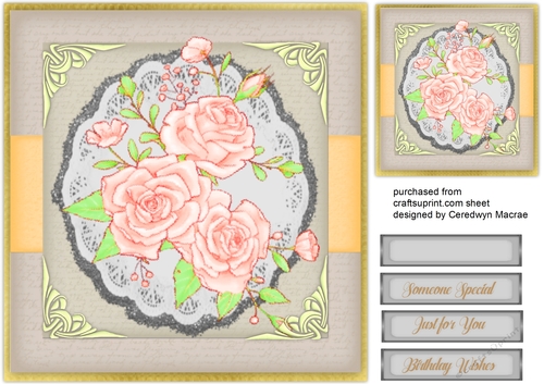 Beautiful Pink Roses and Corners