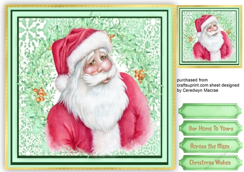 Christmas Santa , Green