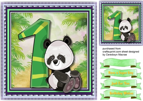 Pandas Birthday , 1