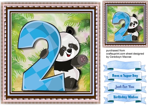 Pandas Birthday , 2