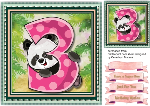 Pandas Birthday , 3