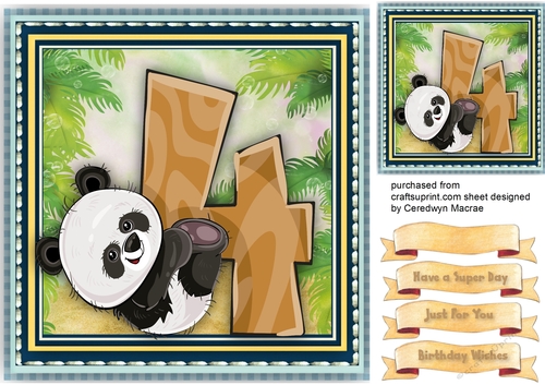 Pandas Birthday , 4