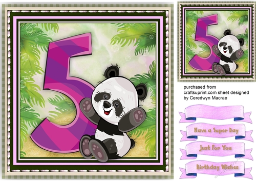 Pandas Birthday , 5