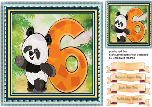 Pandas Birthday , 6
