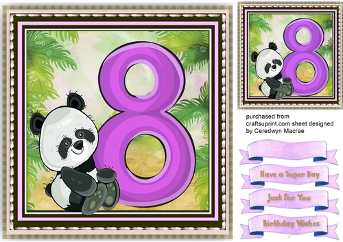 Pandas Birthday , 8