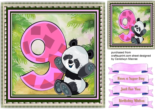 Pandas Birthday ,9