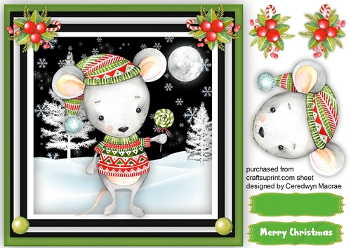 Adorable Christmas Mouse