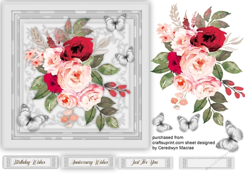 Stunning Red and  pink Roses