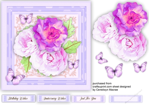 Stunning Lilac Roses