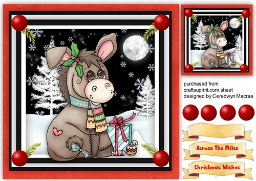 Dilly Donkeys  Christmas Scarf