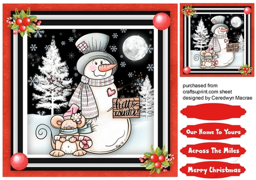   Snowman and Mouse