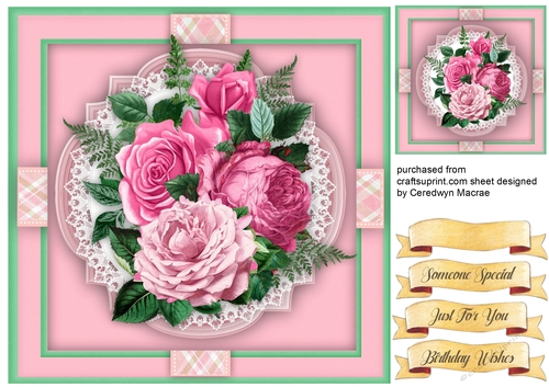 Beautiful Pink  Roses