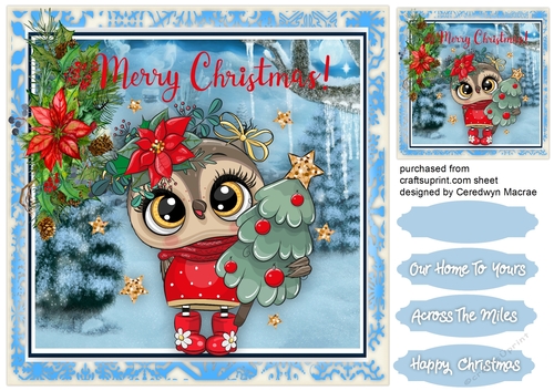 Merry Christmas Owl 