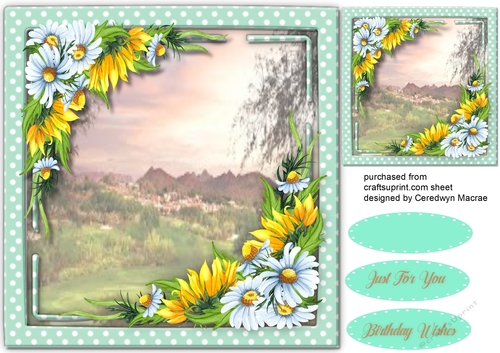 Beautiful Daisys and Sunflowers 