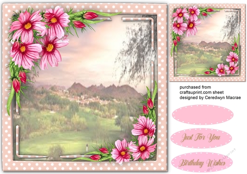 Beautiful Pink Wild Flowers 