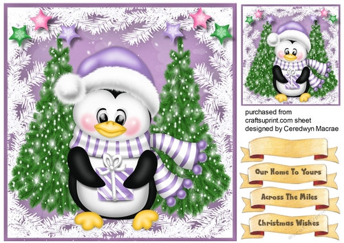 Penguin in a Lilac Scarf