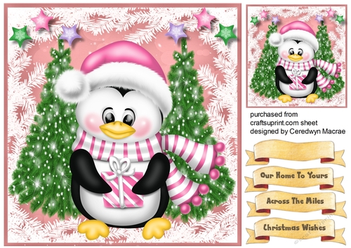 Penguin in a Pink Scarf