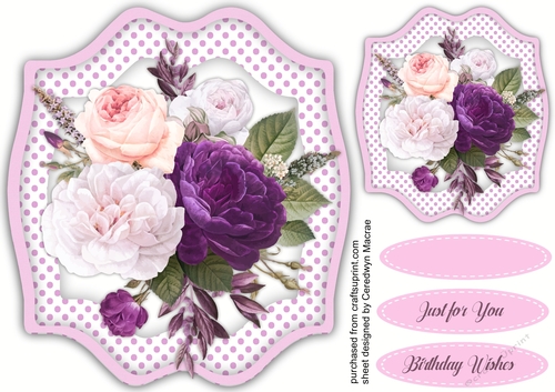 Beautiful Deep Mauve and White  Roses 