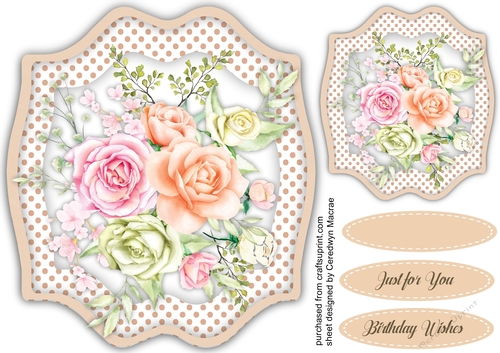 Beautiful  Soft Pink Roses   