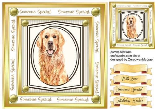 Beautiful Golden Retriever Dog 