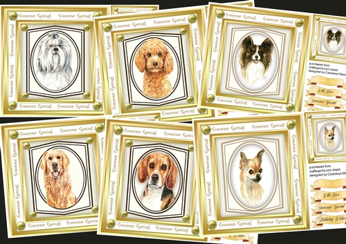 6, Lovely Dogs in a Gold frame