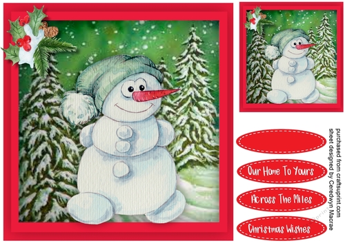 Cute Snowman in the Snow 