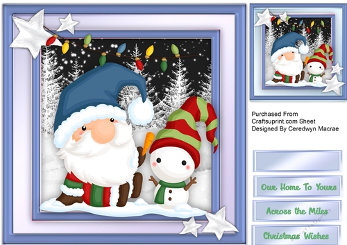 Cute Christmas Gnomes