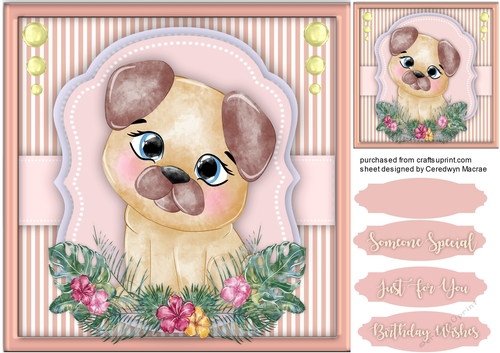 Cute Beuge Pup in a Flower Frame