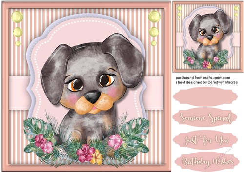 Cute Brown  Pup in a Flower Frame