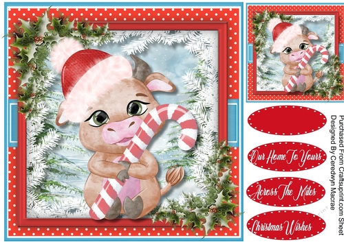 Little Bull with Candy Cane