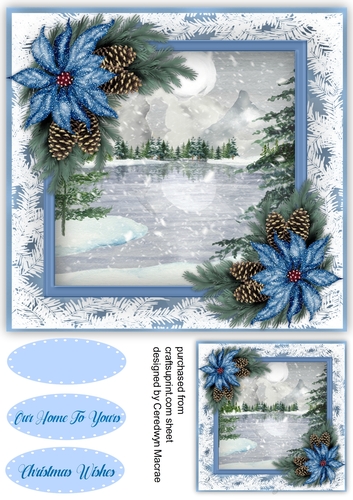 The Frozen Lake 