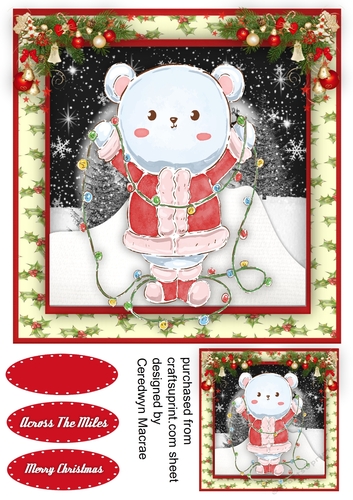 Cute Bears Christmas Lights 