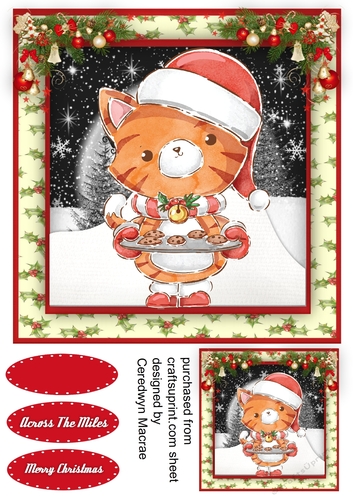 Cute Mince Pie Cat
